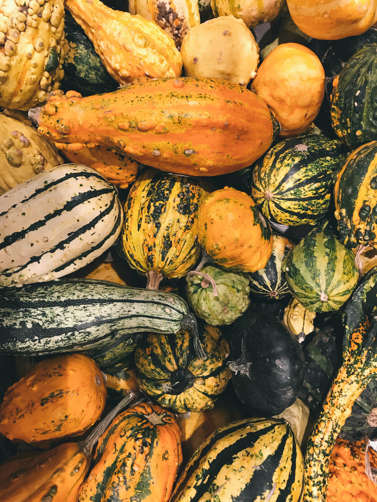 Pairing Wine and Winter Squash